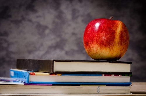Ein Apfel liegt auf zwei Schulbüchern